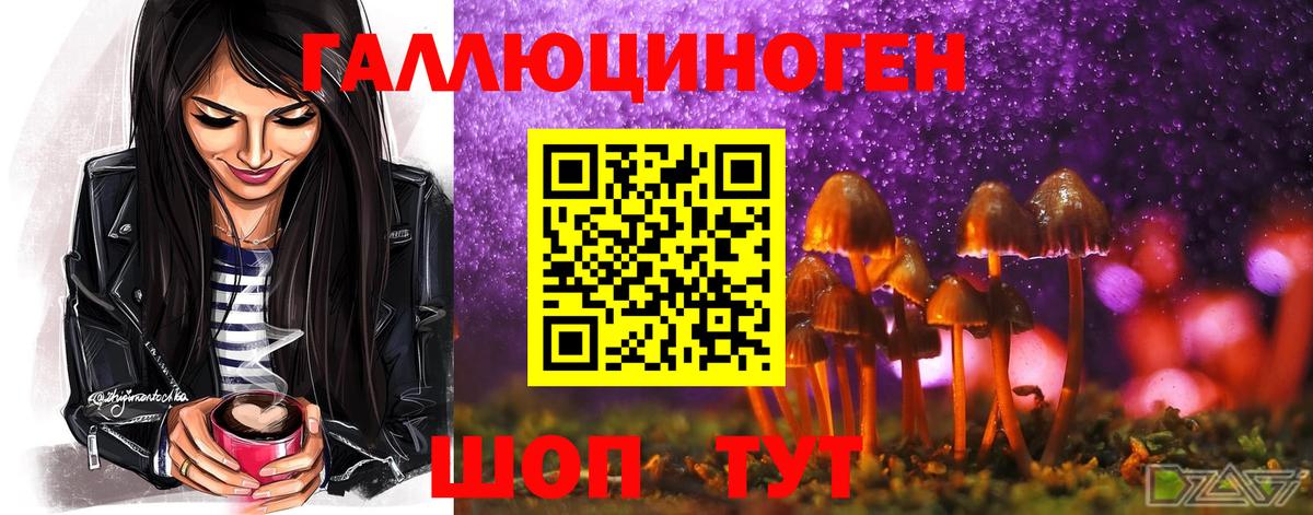 Заволжье  Псилоцибиновые грибы прущие грибы  Вход с VPN  Псилоцибиновые грибы мицелий 